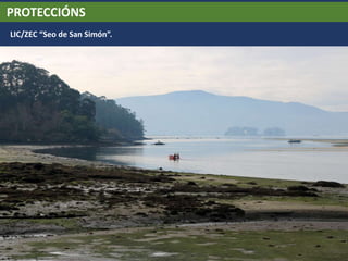 PROTECCIÓNS
LIC/ZEC “Seo de San Simón”.
 