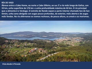 Vista desde A Peneda
RÍA DE VIGO
Ábrese entre o Cabo Home, ao norte e Cabo Silleiro, ao sur. É a ría máis longa de Galiza, con
33 km, unha superficie de 176 km e unha profundidade máxima de 44 km. O río principal
que a alimenta é o Verdugo. O estreito de Rande separa a parte interior chamada Seo de San
Simón, unha zona abrigada con augas pouco profundas, da exterior, máis aberta e de augas
máis fondas. Na ría altérnanse os tramos rochosos, de pouca altura, os areais e as marismas.
 