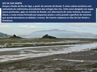 SEO DE SAN SIMÓN
Ocupa o fondo da Ría de Vigo, a partir do estreito de Rande. É unha cubeta tectónica moi
colmatada de sedimentos procedentes das achegas dos ríos. Unha zona abrigada con augas
pouco profundas, agás no estreito de Rande, con alternancia de costa rochosa, de pouca
altura, e costa areosa formada por pequenas praias e unha grande superficie de marisma
que queda descuberta ao debalar a marea. No interior atópanse as illas de San Simón e
Alvedosas.
 