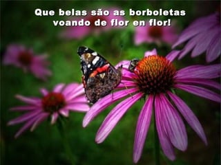 Que belas são as borboletasQue belas são as borboletas
voando de flor en flor!voando de flor en flor!
 