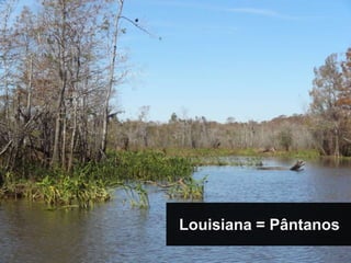 Louisiana = Pântanos
 