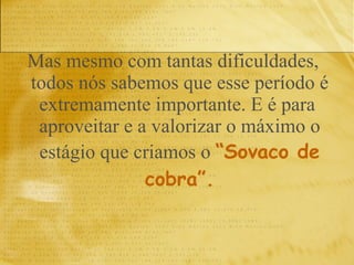 Mas mesmo com tantas dificuldades, todos nós sabemos que esse período é extremamente importante. E é para  aproveitar e a valorizar o máximo o estágio que criamos o   “Sovaco de cobra”. 