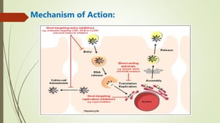 Mechanism of Action:
 