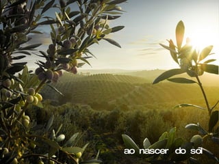 ao nascer do sol 