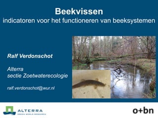 Beekvissen
indicatoren voor het functioneren van beeksystemen

Ralf Verdonschot
Alterra
sectie Zoetwaterecologie
ralf.verdonschot@wur.nl

 