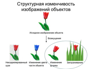 Структурная изменчивость
изображений объектов
 
