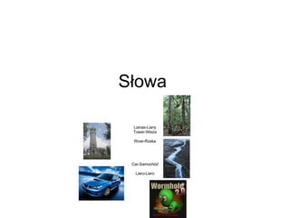 Słowa  Lianas-Liany Tower-Wieża River-Rzeka Car-Samochód Liero-Liero 