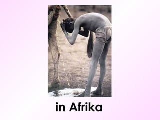 in Afrika 