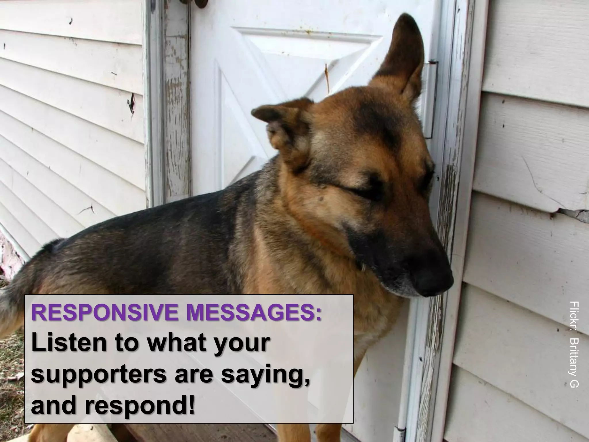 Flickr: Brittany G
RESPONSIVE MESSAGES:
Listen to what your
supporters are saying,
and respond!
 