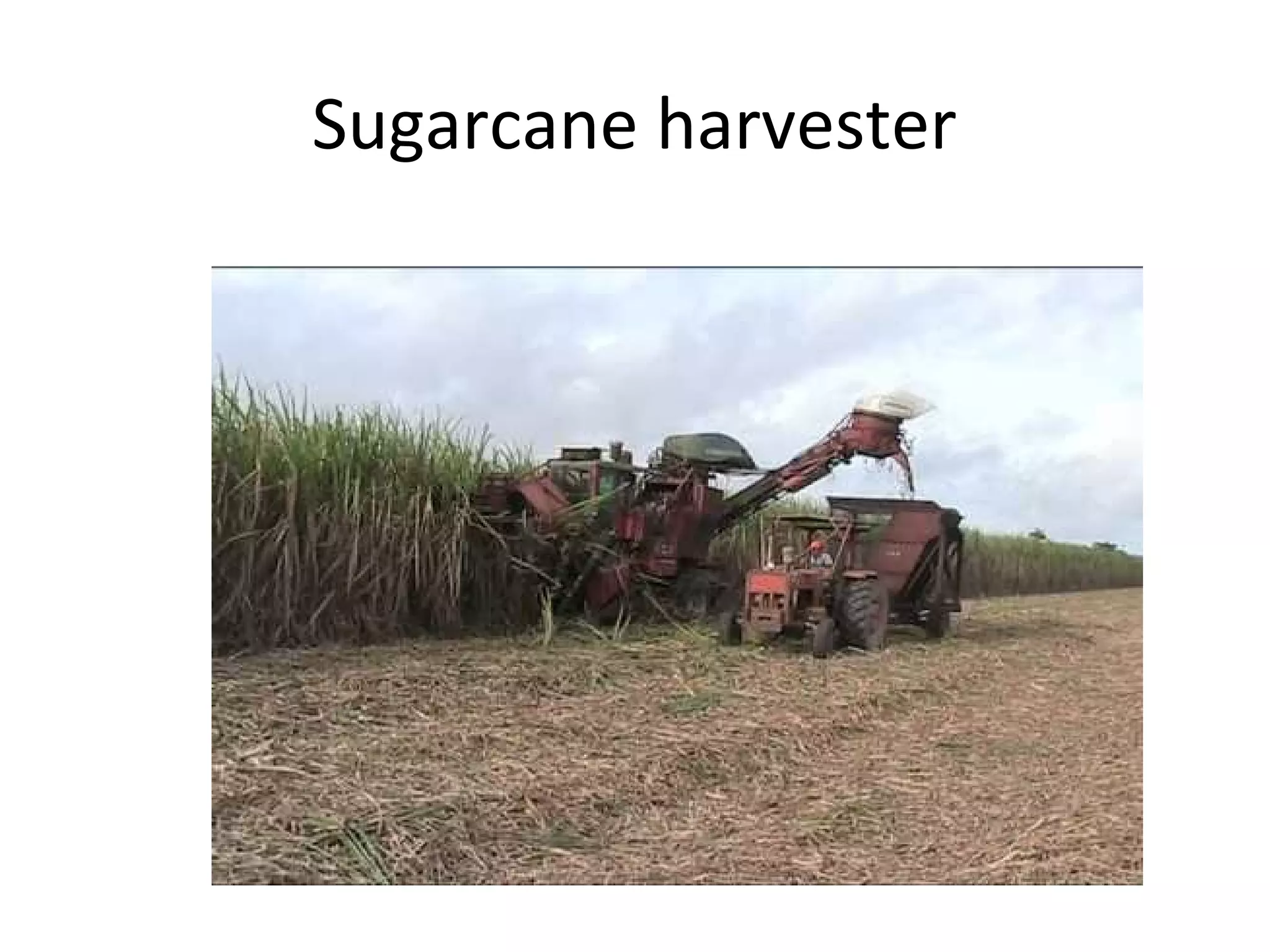 Sugarcane harvester
 