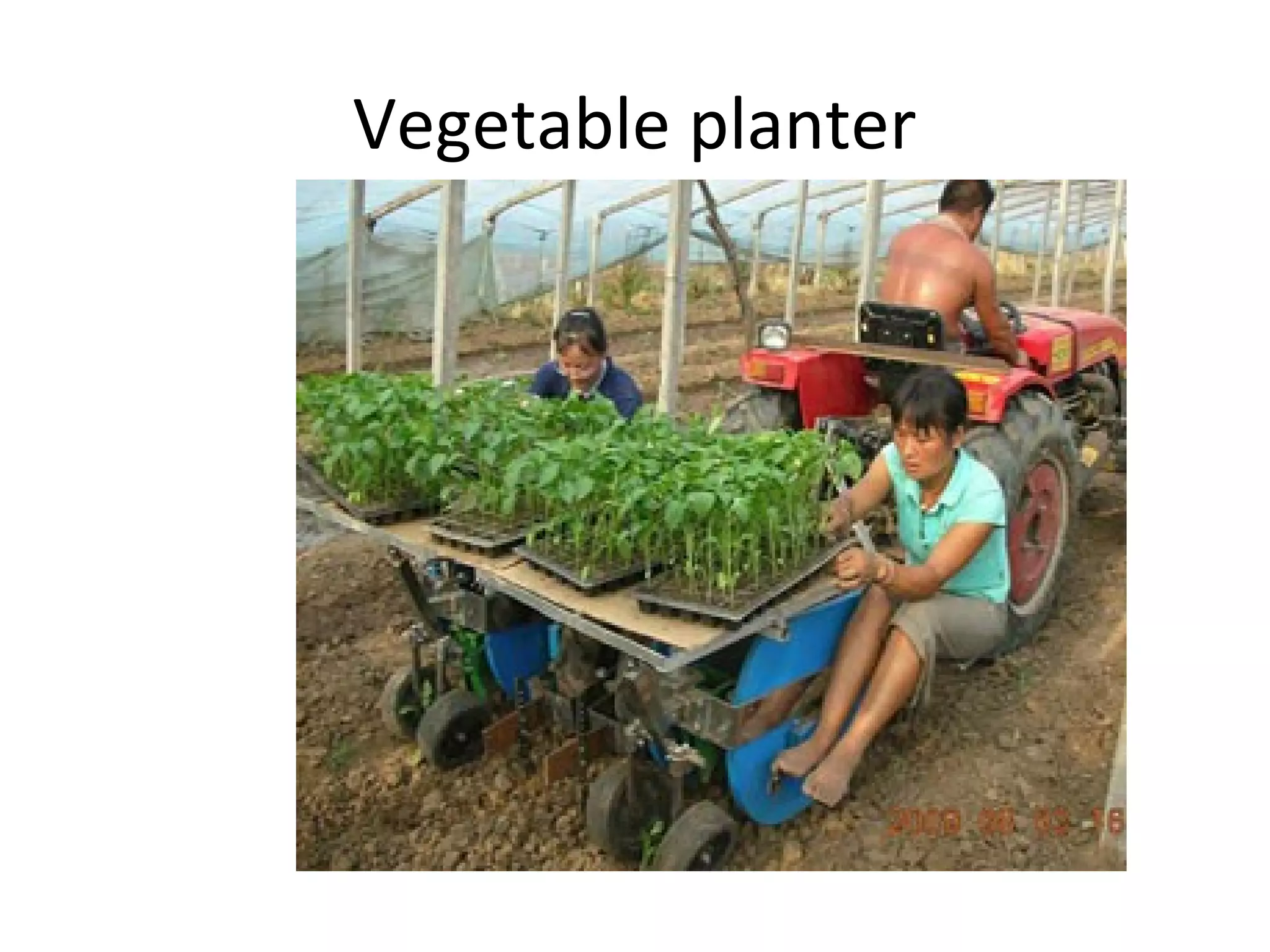Vegetable planter
 