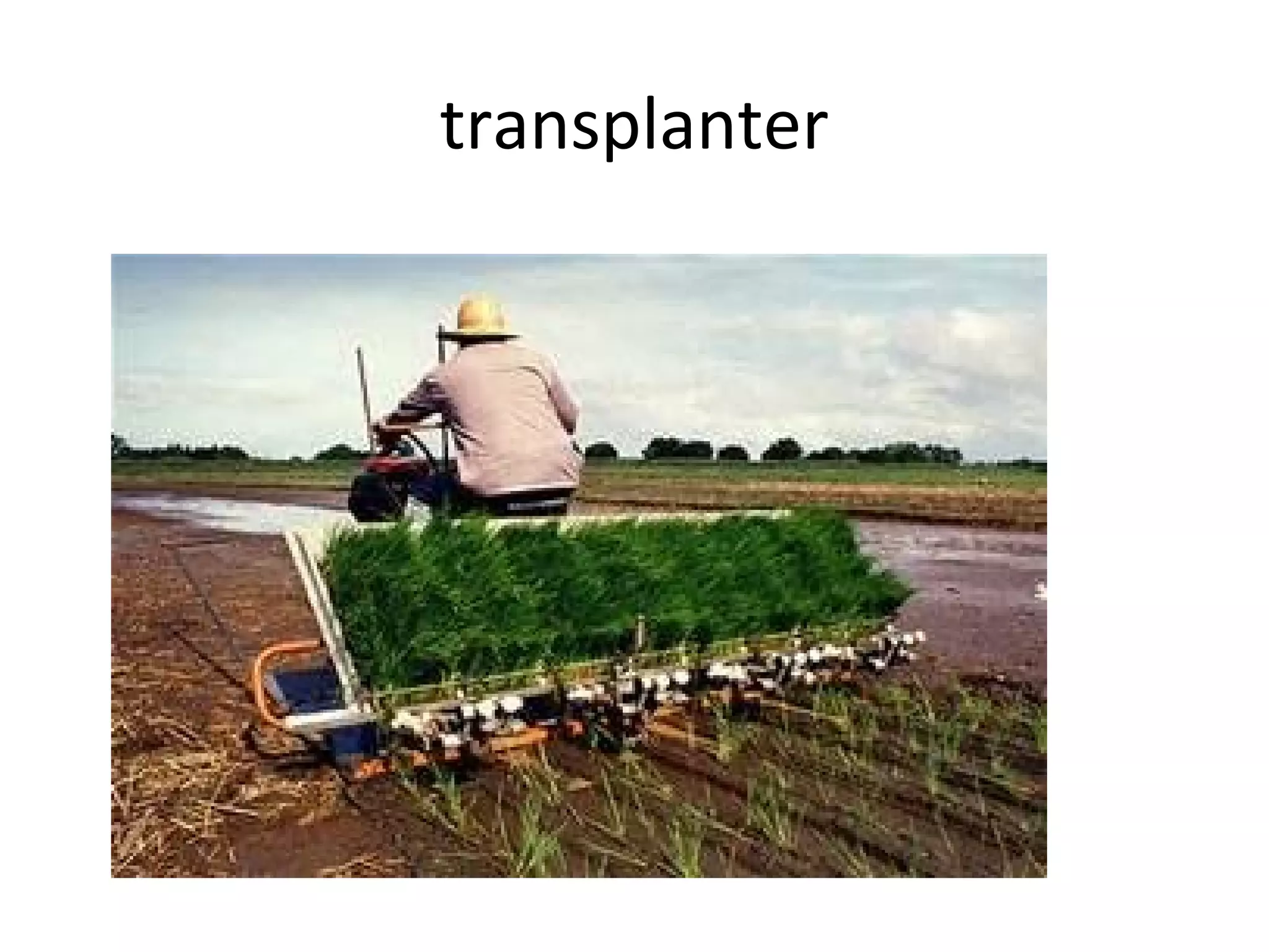 transplanter
 