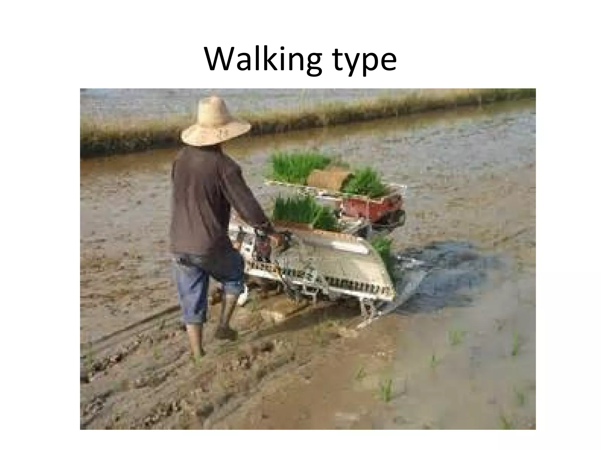 Walking type
 