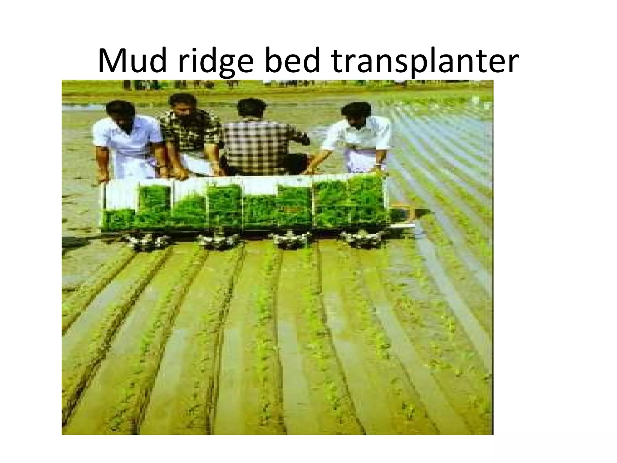Mud ridge bed transplanter
 