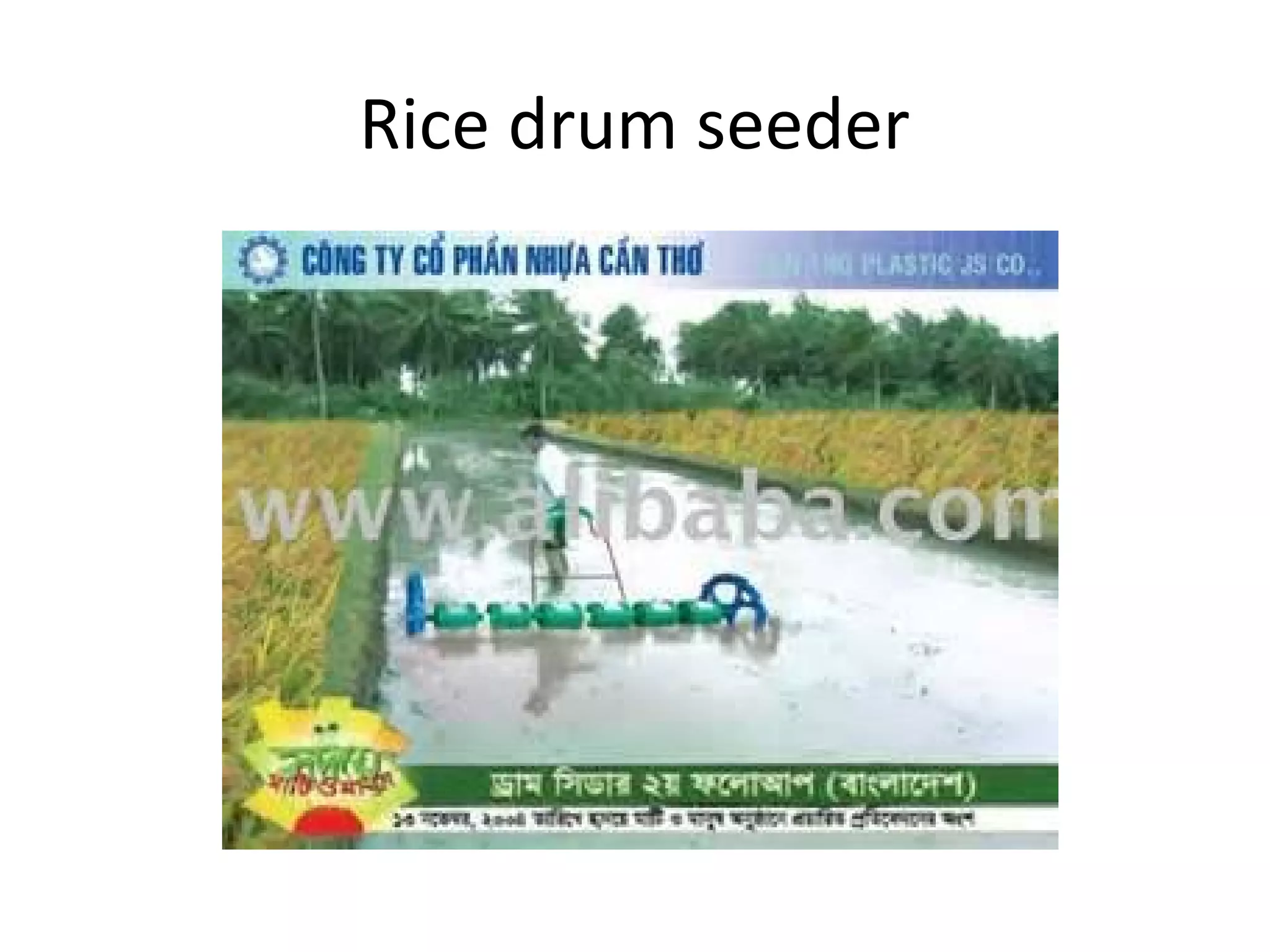 Rice drum seeder
 