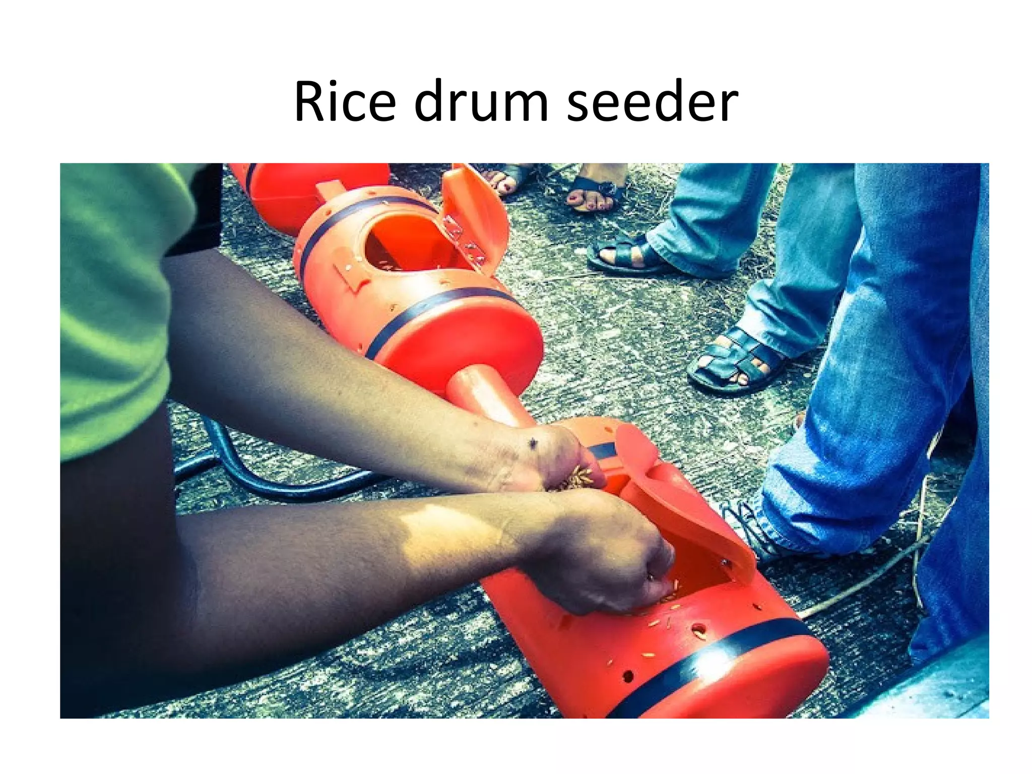 Rice drum seeder
 