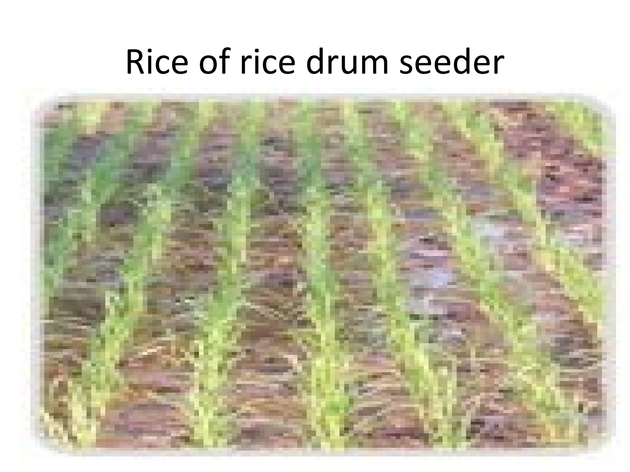 Rice of rice drum seeder
 