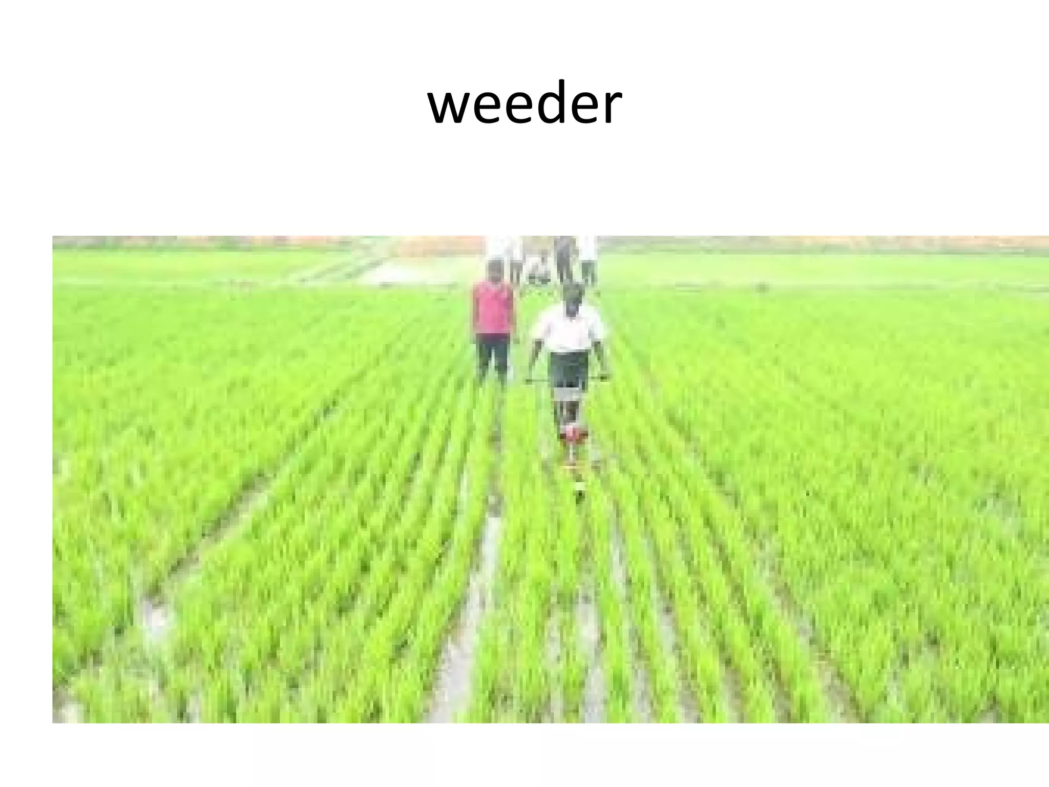 weeder
 