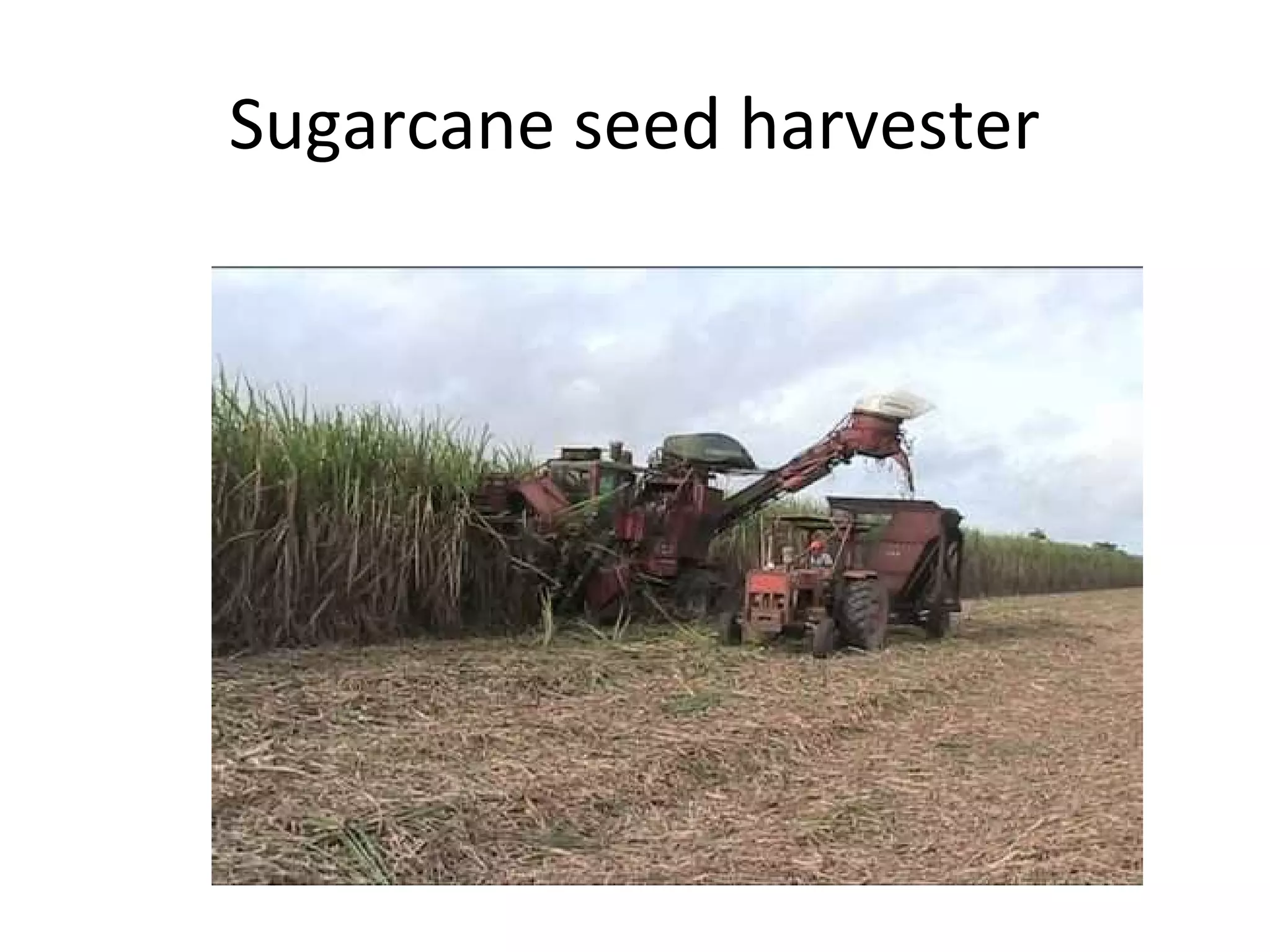 Sugarcane seed harvester
 