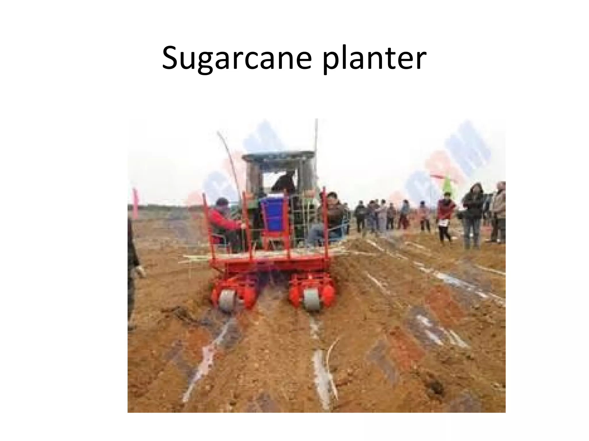 Sugarcane planter
 