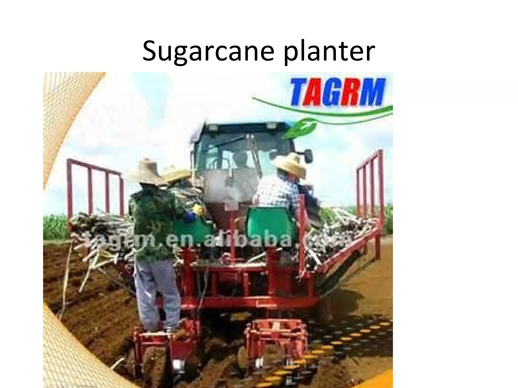 Sugarcane planter
 