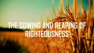 THE SOWING AND REAPING OF
RIGHTEOUSNESS
 