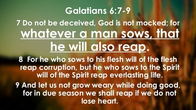 Image result for galatians 6:7-9