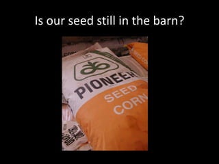 Is our seed still in the barn?