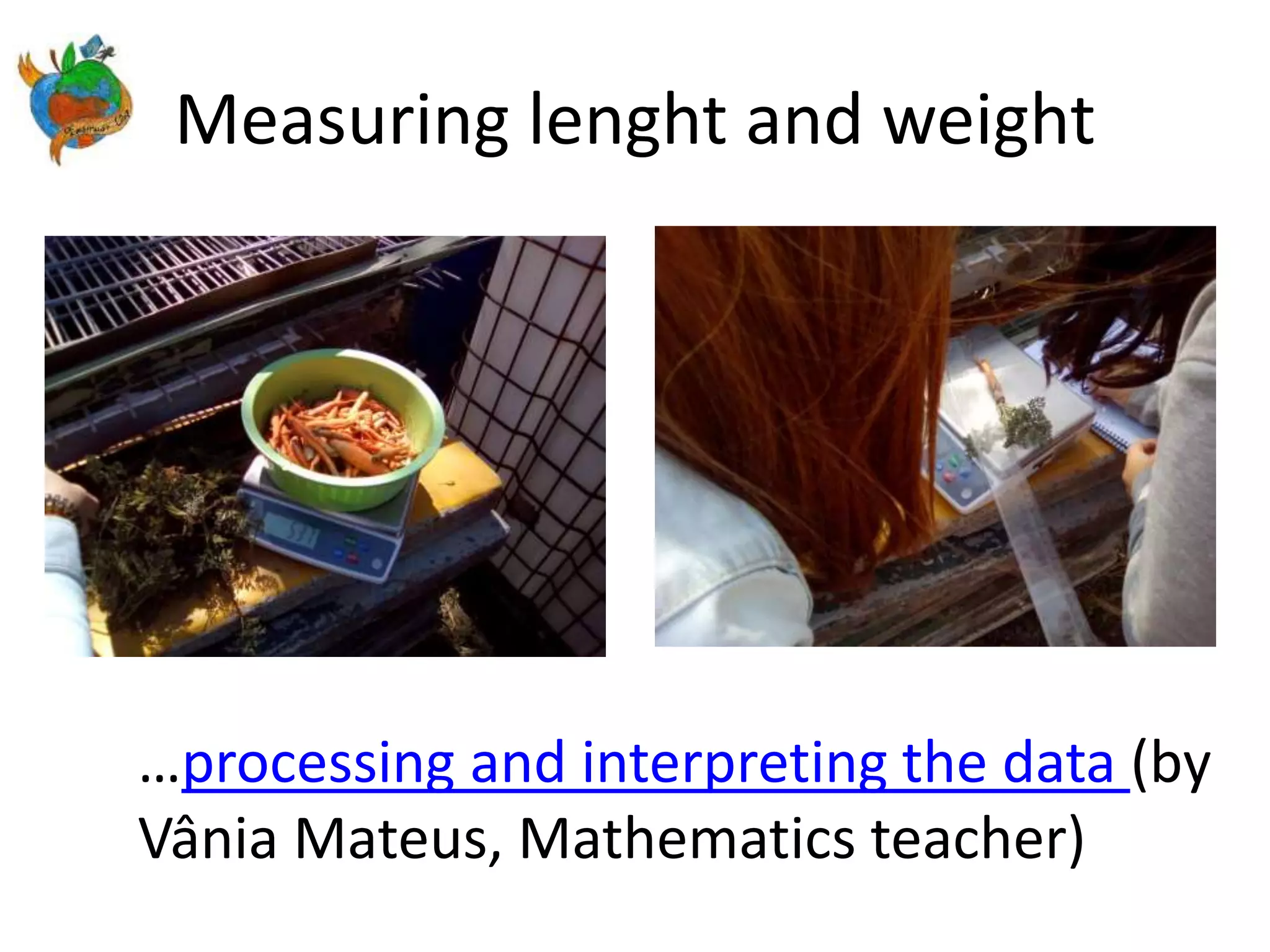 Measuring lenght and weight
…processing and interpreting the data (by
Vânia Mateus, Mathematics teacher)