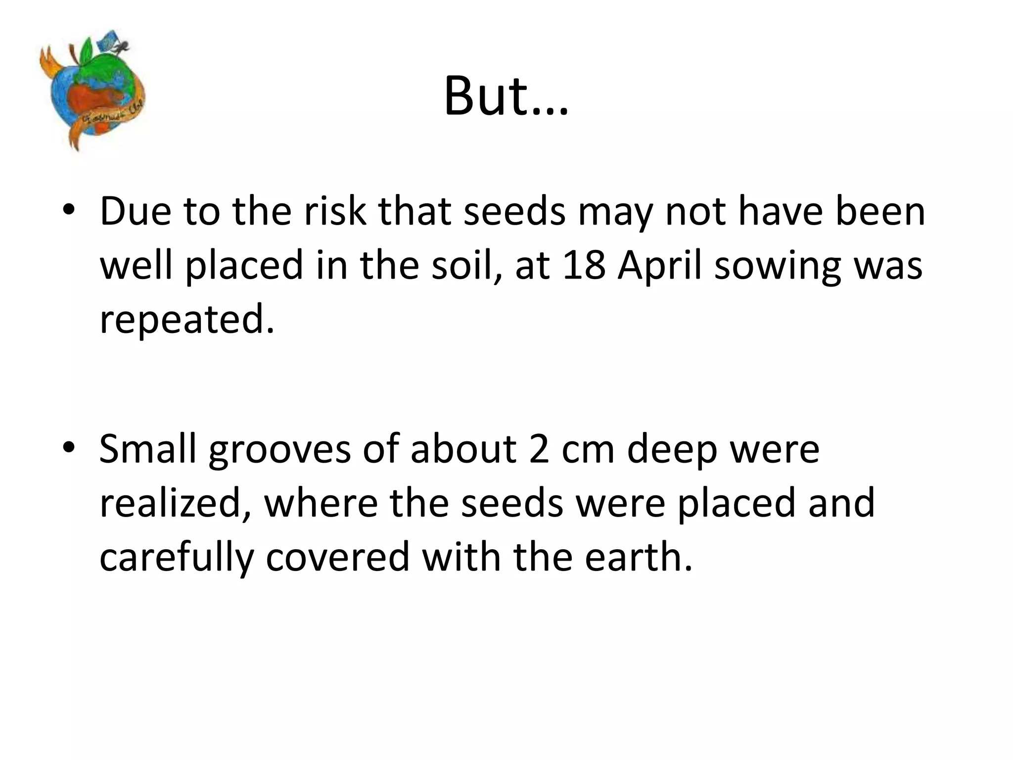 But…
• Due to the risk that seeds may not have been
well placed in the soil, at 18 April sowing was
repeated.
• Small grooves of about 2 cm deep were
realized, where the seeds were placed and
carefully covered with the earth.