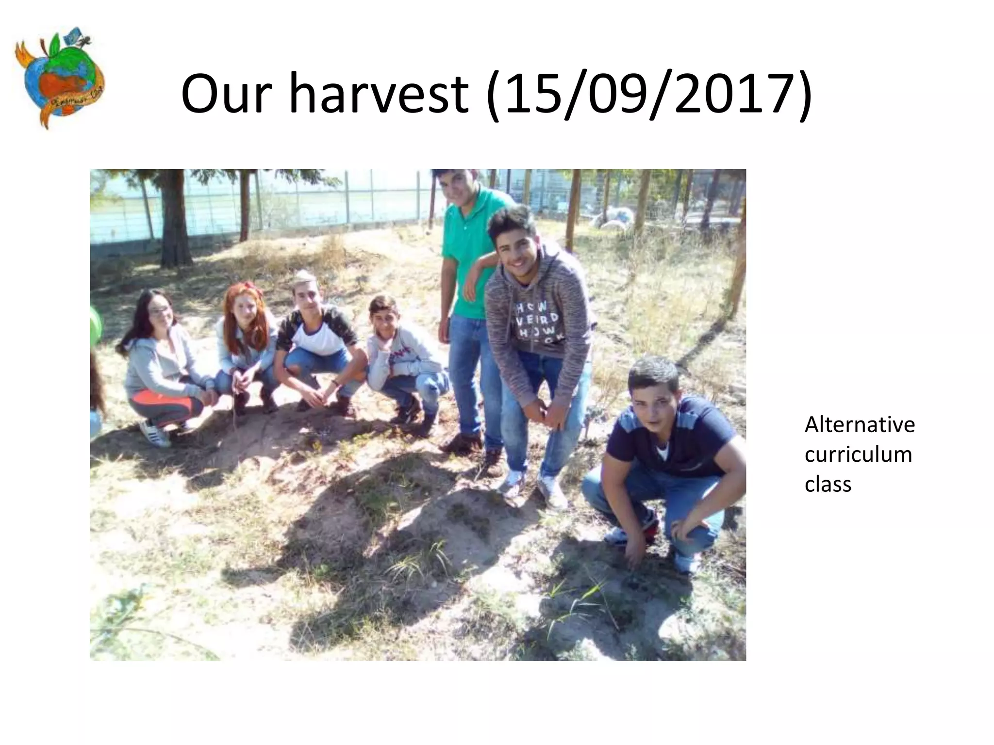 Our harvest (15/09/2017)
Alternative
curriculum
class