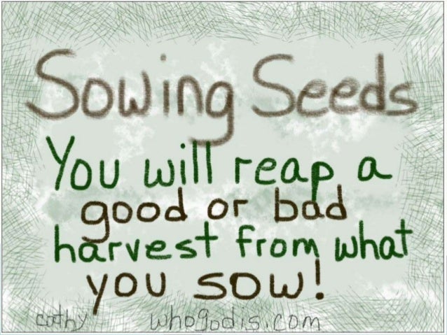 pics Sow Seeds Quotes you will either reap a good or bad harvest