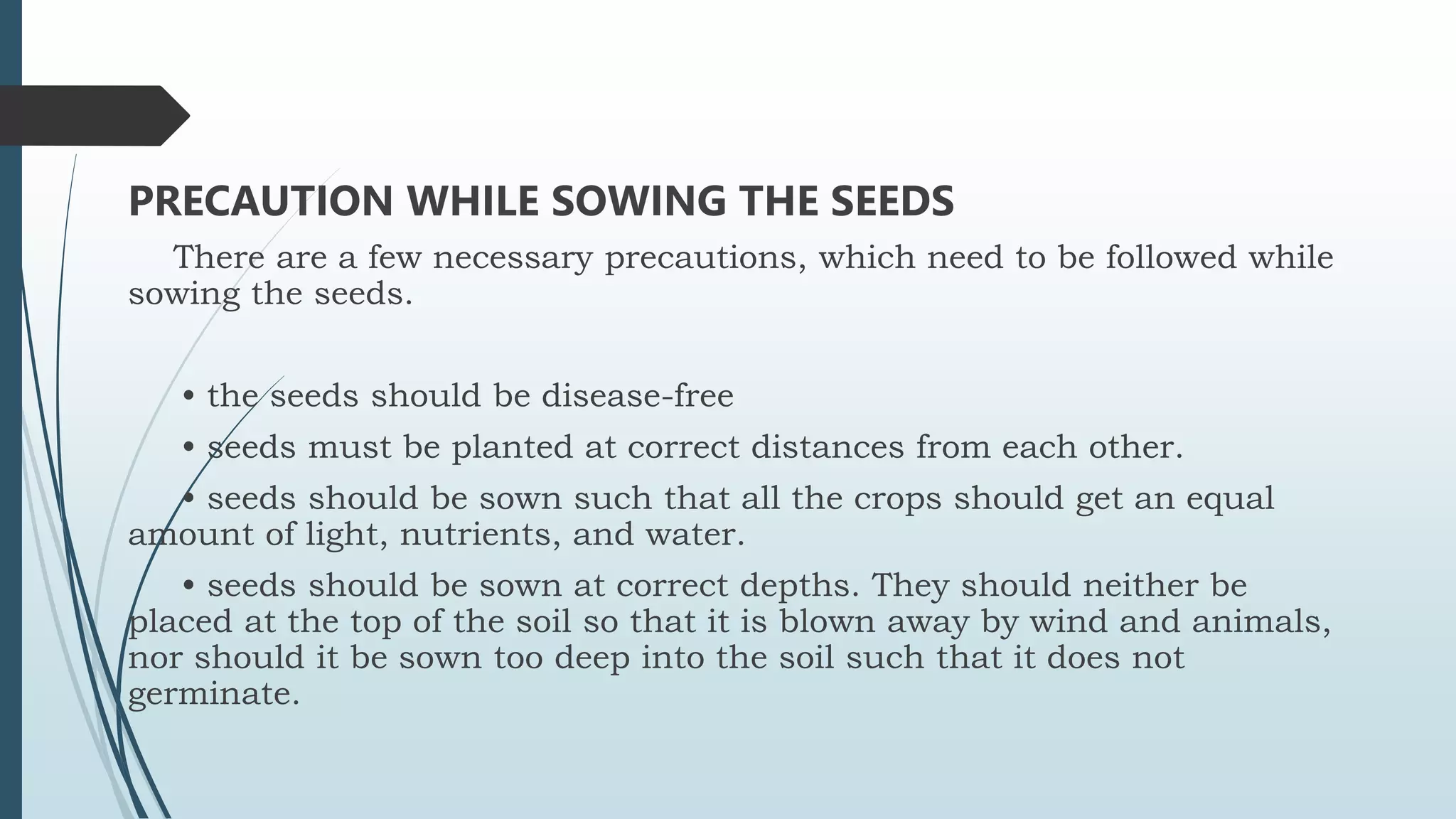 PRECAUTION WHILE SOWING THE SEEDS
There are a few necessary precautions, which need to be followed while
sowing the seeds.
• the seeds should be disease-free
• seeds must be planted at correct distances from each other.
• seeds should be sown such that all the crops should get an equal
amount of light, nutrients, and water.
• seeds should be sown at correct depths. They should neither be
placed at the top of the soil so that it is blown away by wind and animals,
nor should it be sown too deep into the soil such that it does not
germinate.
 