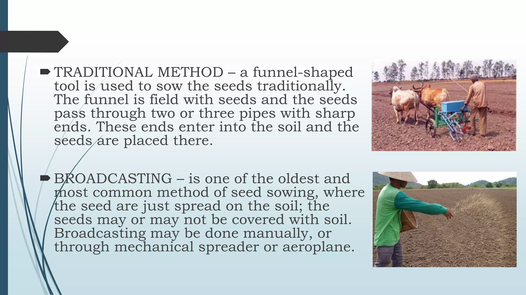TRADITIONAL METHOD – a funnel-shaped
tool is used to sow the seeds traditionally.
The funnel is field with seeds and the seeds
pass through two or three pipes with sharp
ends. These ends enter into the soil and the
seeds are placed there.
BROADCASTING – is one of the oldest and
most common method of seed sowing, where
the seed are just spread on the soil; the
seeds may or may not be covered with soil.
Broadcasting may be done manually, or
through mechanical spreader or aeroplane.
 