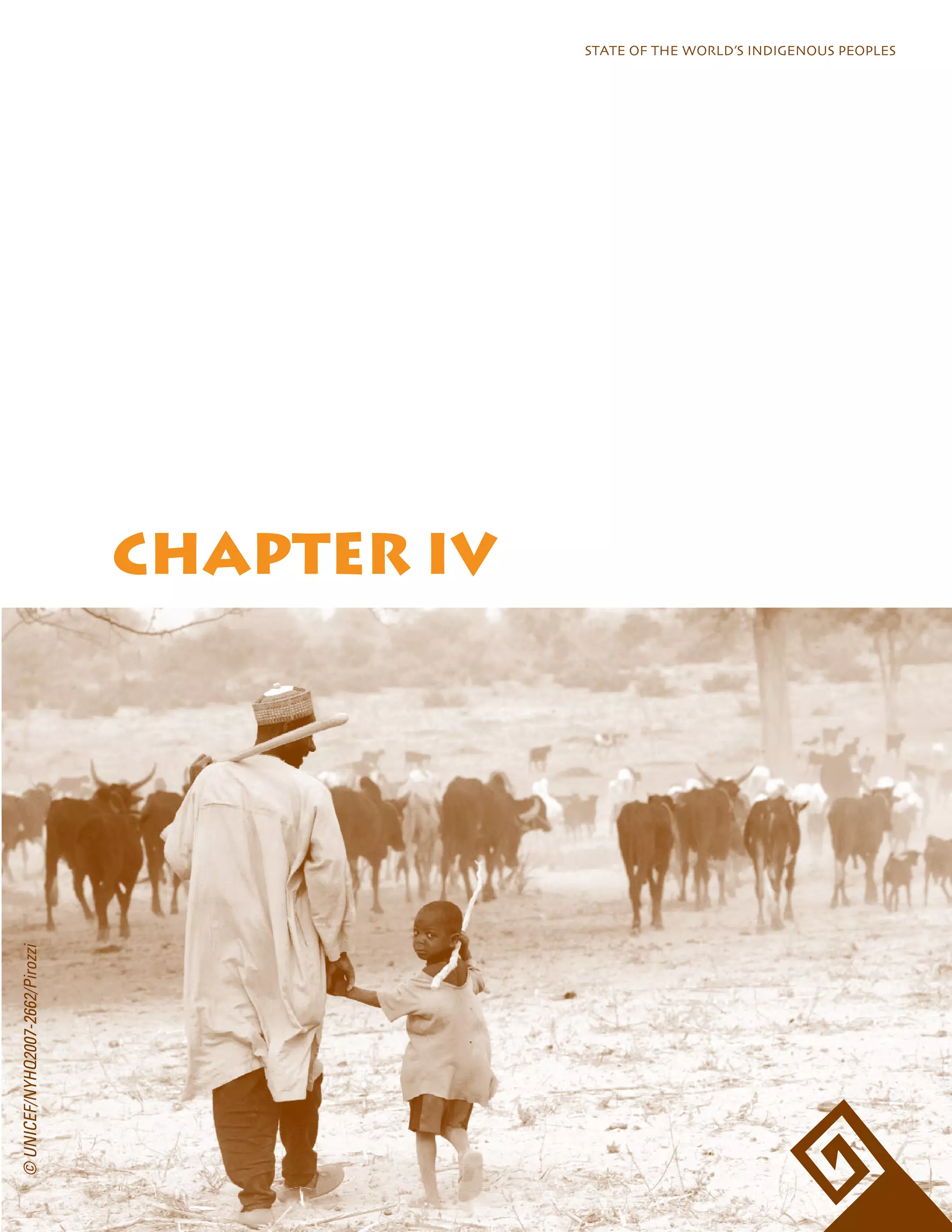 STATE OF THE WORLD’S INDIGENOUS PEOPLES 
CHAPTER IV 
© UNICEF/NYHQ2007-2662/Pirozzi 
 