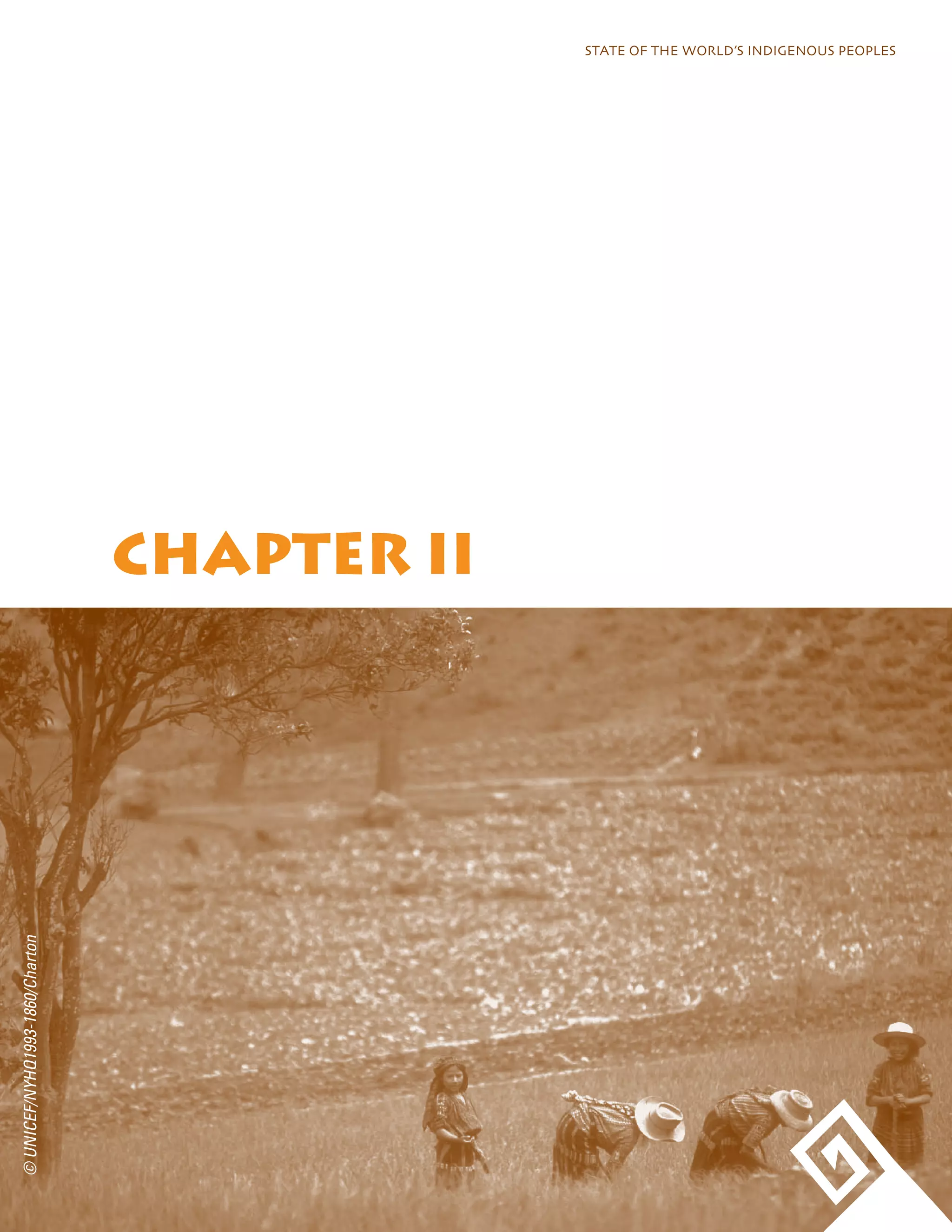 STATE OF THE WORLD’S INDIGENOUS PEOPLES 
CHAPTER II 
© UNICEF/NYHQ1993-1860/Charton 
 