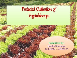 ProtectedCultivationof
Vegetablecrops
Submitted by:
Seetha Sowjanya
16 PGDM – ABPM 27
 