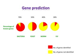 70%

50%

40%

YEAST

WORM

30%

Percentage of
known genes

BACTERIA

FLY

No. of genes identified
No. of genes not identified

 