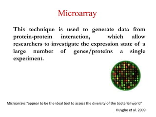 Microarray Bacterial High throughput approaches to understanding gene function and mapping ...