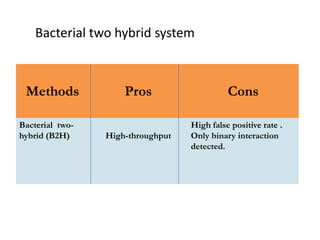High throughput approaches to understanding gene function and mapping ...