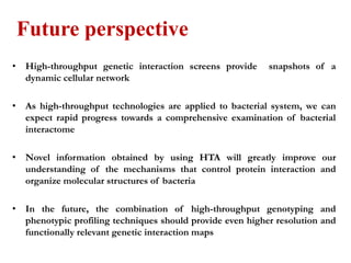 High throughput approaches to understanding gene function and mapping ...