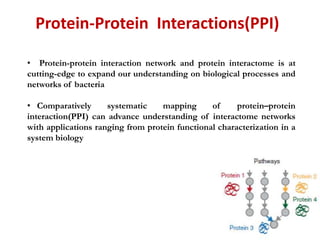 ybaY protein (Escherichia coli K12) - STRING interaction network