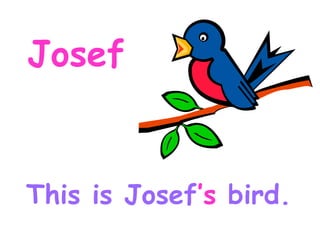 Josef This is Josef ’s bird.