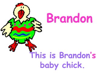Brandon This is Brandon ’s baby chick.