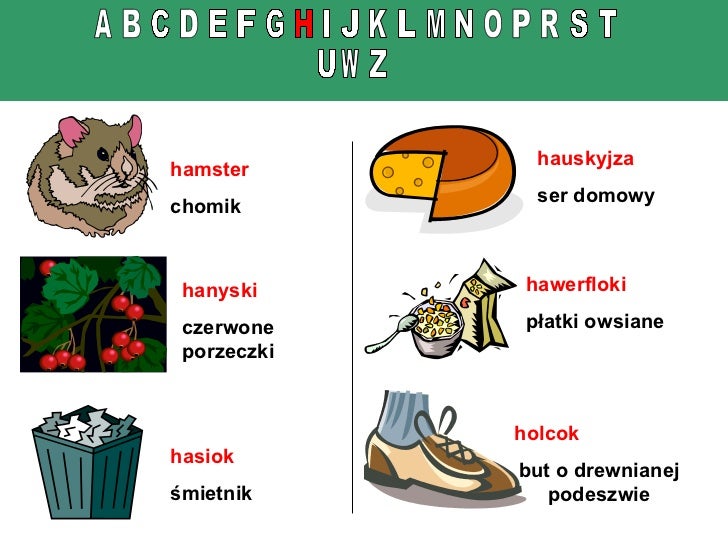 Wprowadzenie Do Jezyka Literackiego Gwary Słownik gwary śląskiej