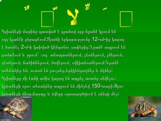 Կրիաների մարինը պատված է զրահով որը նրանք կրում են ողջ կյանքի ընթացքում:Զրահի երկարությունը  12- սմ-ից կարող է հասնել  2- մ-ի կախված կենդանու չափերից:Նրանք ապրում են ցամաքում և ջրում` շոգ  անապատներում, լեռներում, լճերում, գետերում, ճահիճներում, ծովերում, օվկիանոսներում:Նրանք ամենակեր են. ուտոմ են բույսեր,երկկենցաղներ և ձկներ: Կրիաները մի քանի ամիս կարող են ապրել առանց սնվելու: կրիաների որոշ տեսակներ ապրում են մինչեվ  150 -տարի:Որոշ կրիաների միսը,ճարպը և ձվերը օգտագործվում է սննդի մեջ: ԿՐԻԱՆԵՐ 