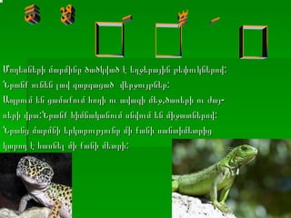 Մողեսների մարմինը ծածկված է եղջերային թեփուկներով : Նրանք ունեն լավ զարգացած   վերջույթներ:  Ապրում են ցամաքում հողի ու ավազի մեջ,ծառերի ու   ժայ - ռերի վրա:Նրանք հիմնականում   սնվում են միջատներով: Նրանց մարմնի երկարությունը մի քանի սանտիմետրից  կարող է հասնել մի քանի մետրի: ՄՈՂԵՍՆԵՐ 