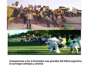 Comparemos a las 2 hinchadas mas grandes del fútbol argentino, el aurinegro (olimpo) y pirañas   