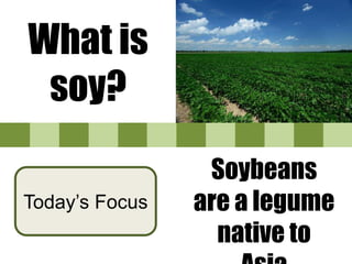What is
soy?
Soybeans are a
legume native to
Asia
Today’s Focus
 