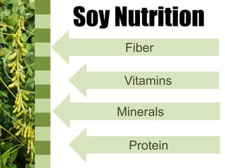 Soy Nutrition
Fiber
Vitamins
Minerals
Protein
 